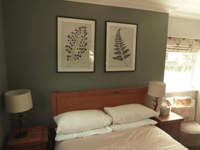 Twin Oaks Guest House Cadnam Ngoại thất bức ảnh